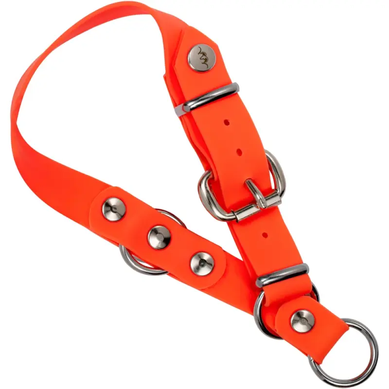 Neue Ware Blaser Hundehalsung Professional Orange