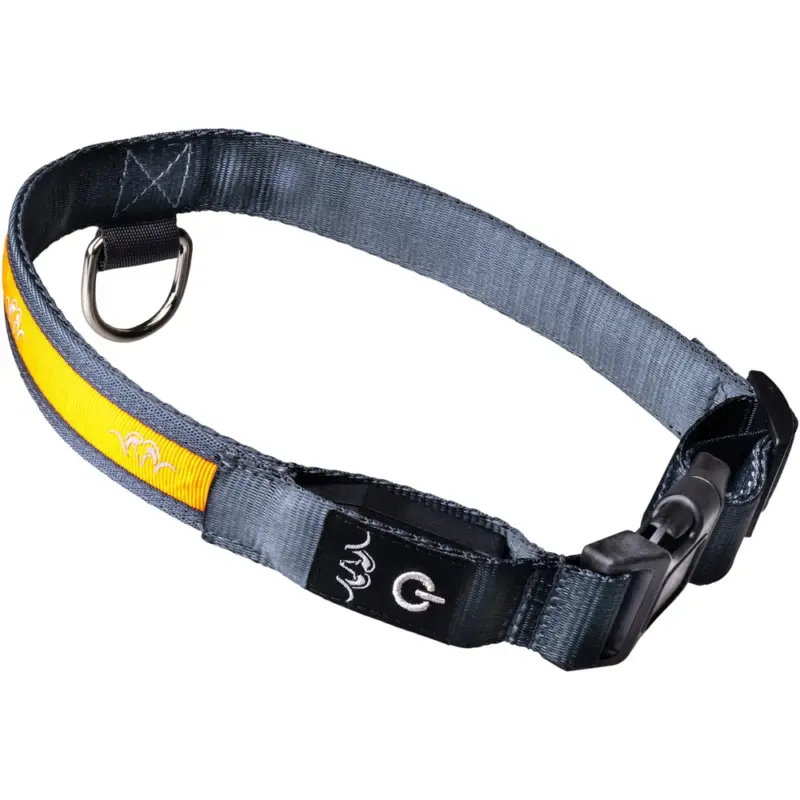 Sonderangebot Blaser Halsband LED