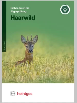 Heintges Lernsystem Haarwild Sale