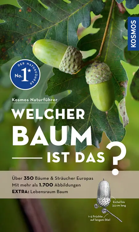 Letzte Chance Kosmos Welcher Baum ist das? Spohn