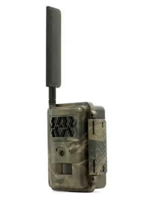 Aktuell Seissiger Wildkamera Special-Cam LTE