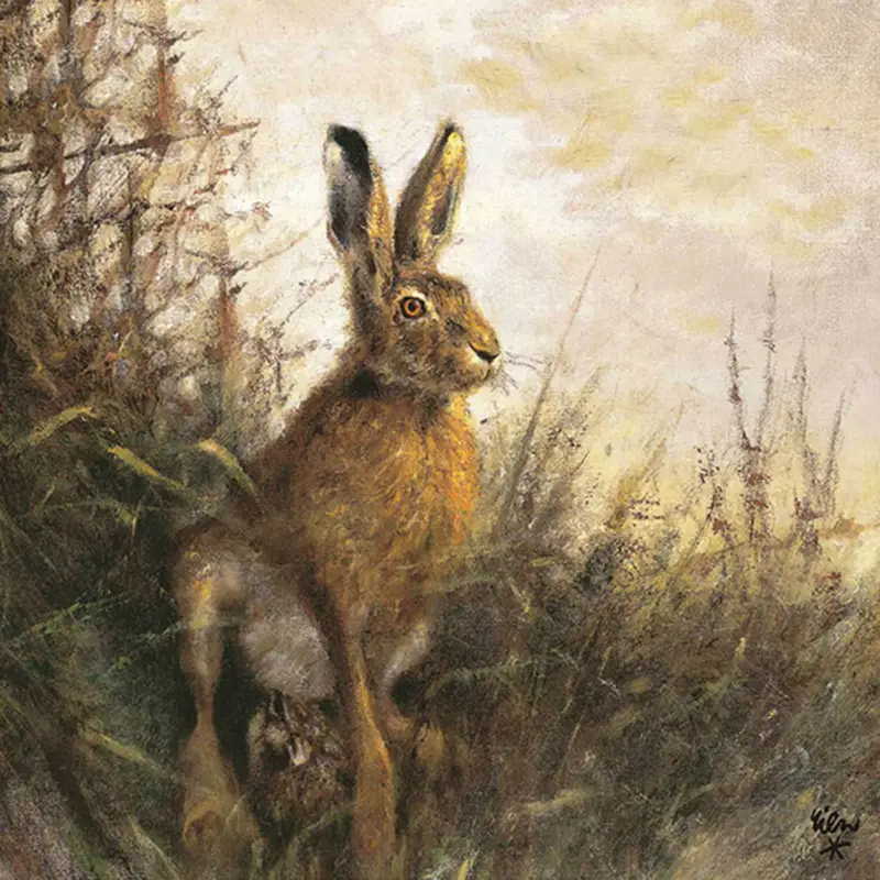 Rabatt AKAH Servietten Hase