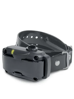 Garantierte Lieferung Dogtra Anti-Bell-Halsband YS600