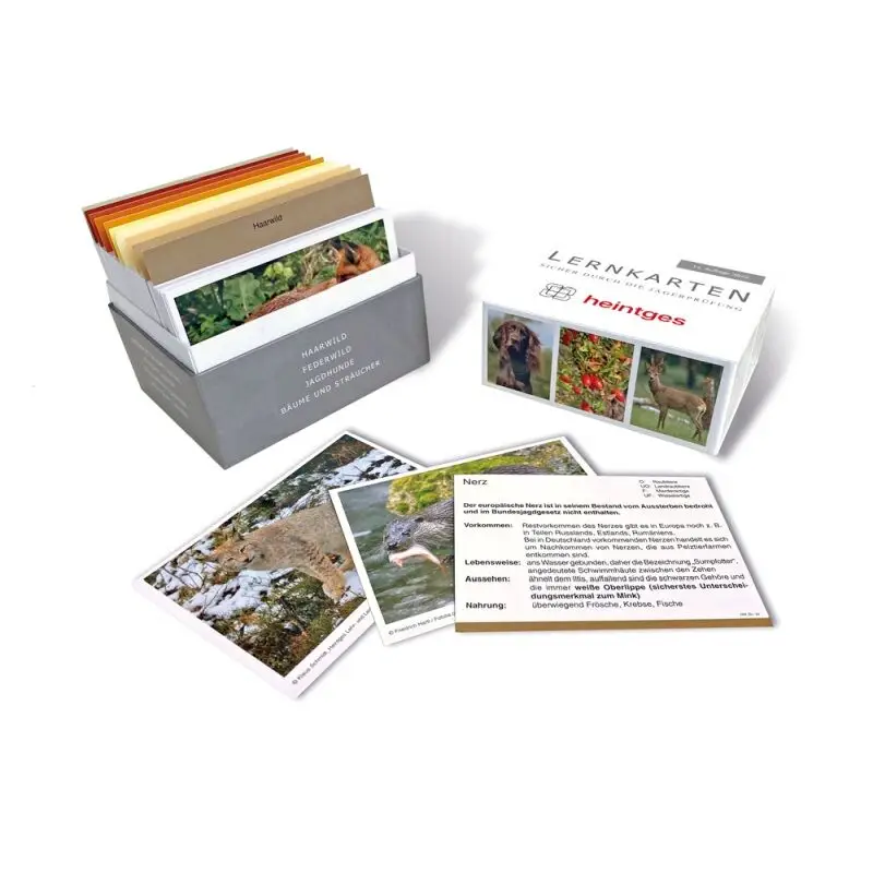 Knallerangebot Heintges Lernkarten Jagd