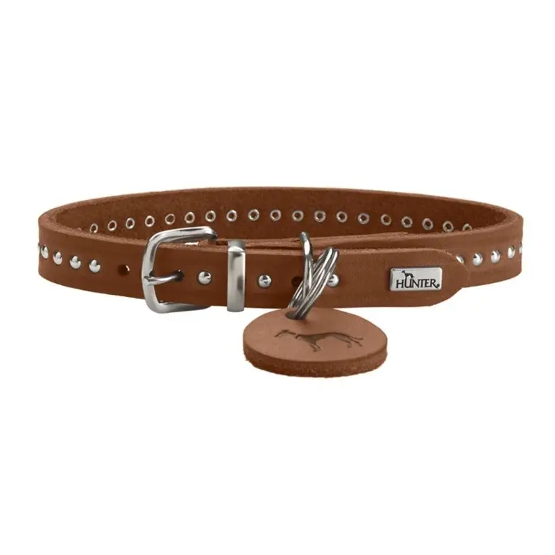 Hunter Hunde Halsband Aalborg Style Angebot
