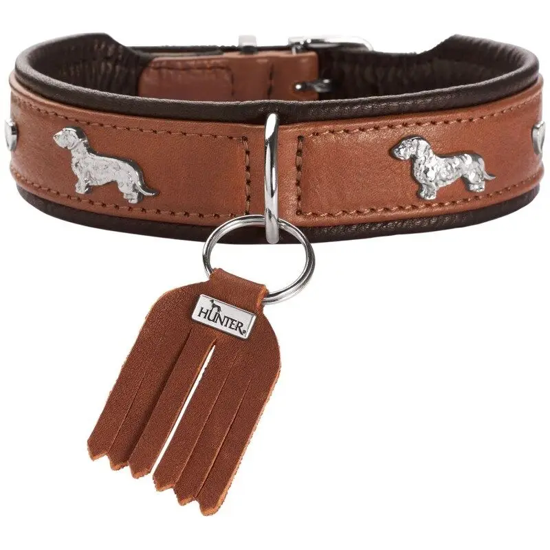 Hunter Hunde Halsband Teckel München Sale