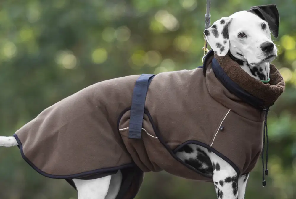 Markenware Actionfactory Hundemantel Warmup Cape Pro (mocca)