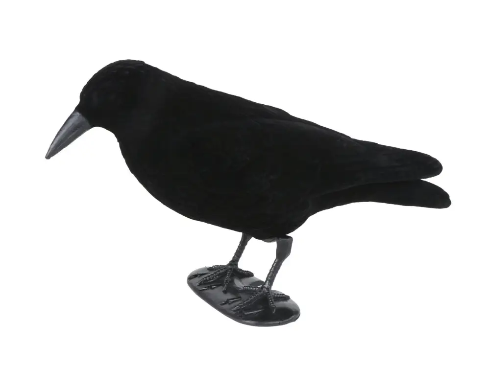 Beflockte Lockkrähe Bestseller